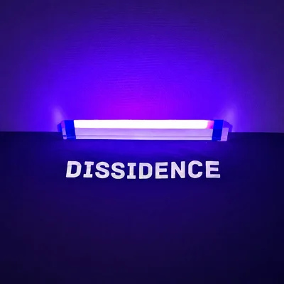 L'Âme Dissidente